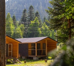 Четырёхместный коттедж с 2 комнатами с красивым видом из окна в Forest house resort