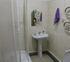 Номер стандарт с 1 двуспальной кроватью в Вингс