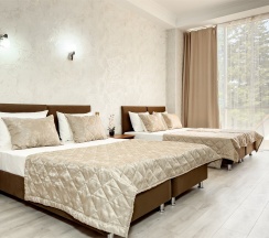 СТУДИЯ с панорамными окнами и видом на горы в Greek house viva hotels group