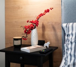 1-комнатный номер эконом в Dream Apartmens