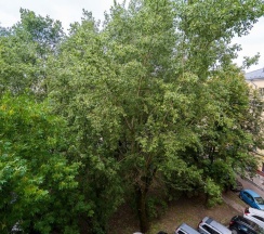 Апартаменты с балконом и с красивым видом из окна в Апартаменты V&M в историческом центре