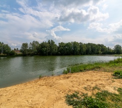 Дом в Skandi белка