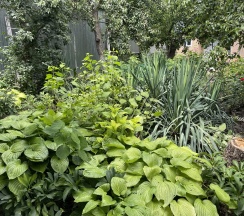 3-местный коттедж стандарт в Гостевой дом