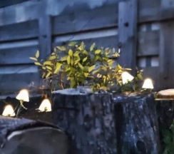 Коттедж в Частный дом Комфорт на Садовой 6