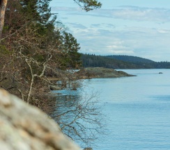 Дом в Lberry Karelia