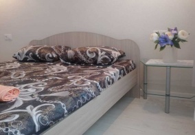 Апартаменты Апартаменты на Энтузиастов 15  в Уфе