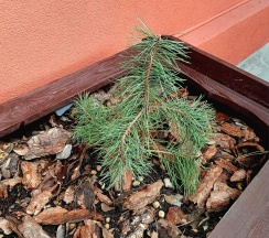 2-местный 1-комнатный номер студия стандарт с 1 двуспальной кроватью в Апарт-отель