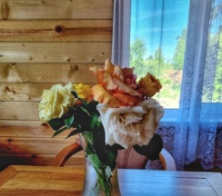 Загородный дом в живописном месте в EveGreen