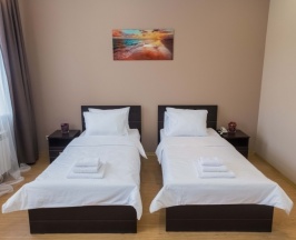 Улучшенный двухместный номер с 2 отдельными кроватями в Лофт