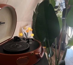 Коттедж премиум в Горы