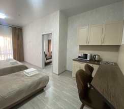 Номер люкс премиум в Анастасия