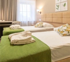 Санаторий - Стандартный двухместный номер с двумя раздельными кроватями в Полисть