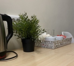 СТАНДАРТ в Баунти