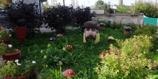 Луга: Мини-отель У лысой горы