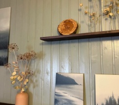 Полулюкс четырехместный в Пихтовый бор