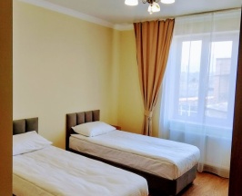 Двухместный номер Standard 2 отдельные кровати в Парацельс