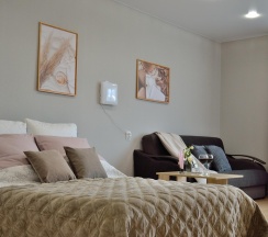 Апартаменты студия №1 в Мышкин уют