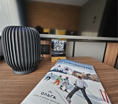 Стандарт премиум + в Ольга