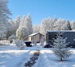 Terrace lodge с горячей купелью в Бухлово парк