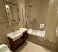Стандартный номер двухместный в Lenina hotel