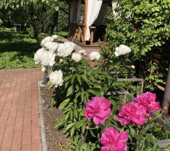 2-местный коттедж в Дом на Орудийной