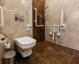 STANDARD TWIN (номер первой категории для малоподвижных гостей) в Pellegreen Hotel