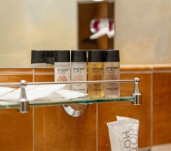 Делюкс в Петръ Отель