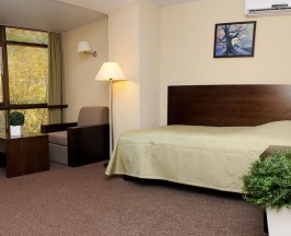 Номер стандарт с 1 односпальной кроватью в Hotel Kirov