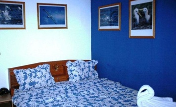 Одноместный номер Standard в Summer Breeze Inn Hotel