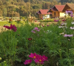 Номер Standard c 1 комнатой с видом на горы в Peisanae Faikeng Resort