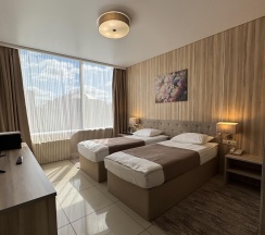 2-местный номер стандарт в Central Hotel