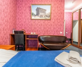 Двухместный номер Standard (двуспальная кровать) в Ani hotel