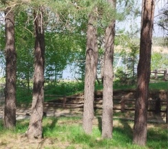 Дом круглогодичный 6 мест в Уткуль РФ