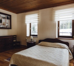 Номер люкс с 1 двуспальной кроватью в Гардарика