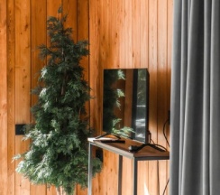 Люкс в Речные земли