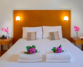 Двухместный люкс c 1 комнатой 2 отдельные кровати в Louis Althea Beach Hotel