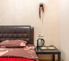 Стандартный двухместный номер в Madison