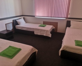 Номер стандарт с 5 односпальными кроватями (с завтраком) в Тамбовская