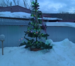 Семейный коттедж в У пруда