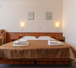 Комфорт (Улучшенный однокомнатный стандартный 2-х местный номер с балконом) в Odeon