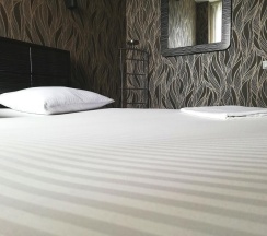 Люкс в Пегас