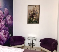 Двухместный номер "Deluxe" в В Коломне