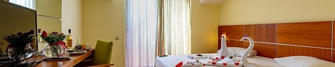 Двухместный номер Standard двухъярусная кровать в Viking Park Hotel