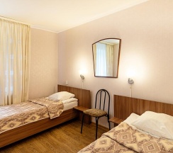 Номер стандарт с 2 односпальными кроватями в Рубин