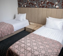 Номер стандарт улучшенный с 2 односпальными кроватями в Хабаровск