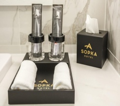 Номер комфорт с 1 двуспальной кроватью в Sopka