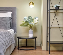 Улучшенный номер с кроватью размера «king-size» в Питер