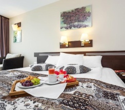 Двухместный номер Standard двуспальная кровать в Grami Hotel Sofia
