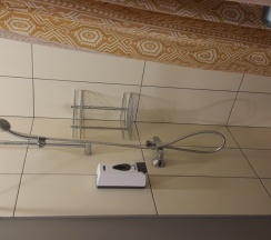 Дельфин в Tiger