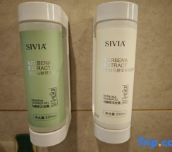 Люкс Deluxe в Changxing Vienna International Hotel
